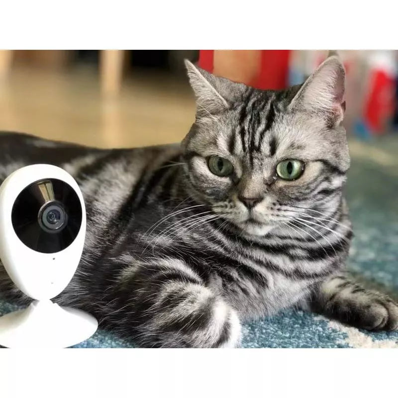 Câmera Segurança Ezviz C2c Visão Noturna Babá Eletrônica Pet