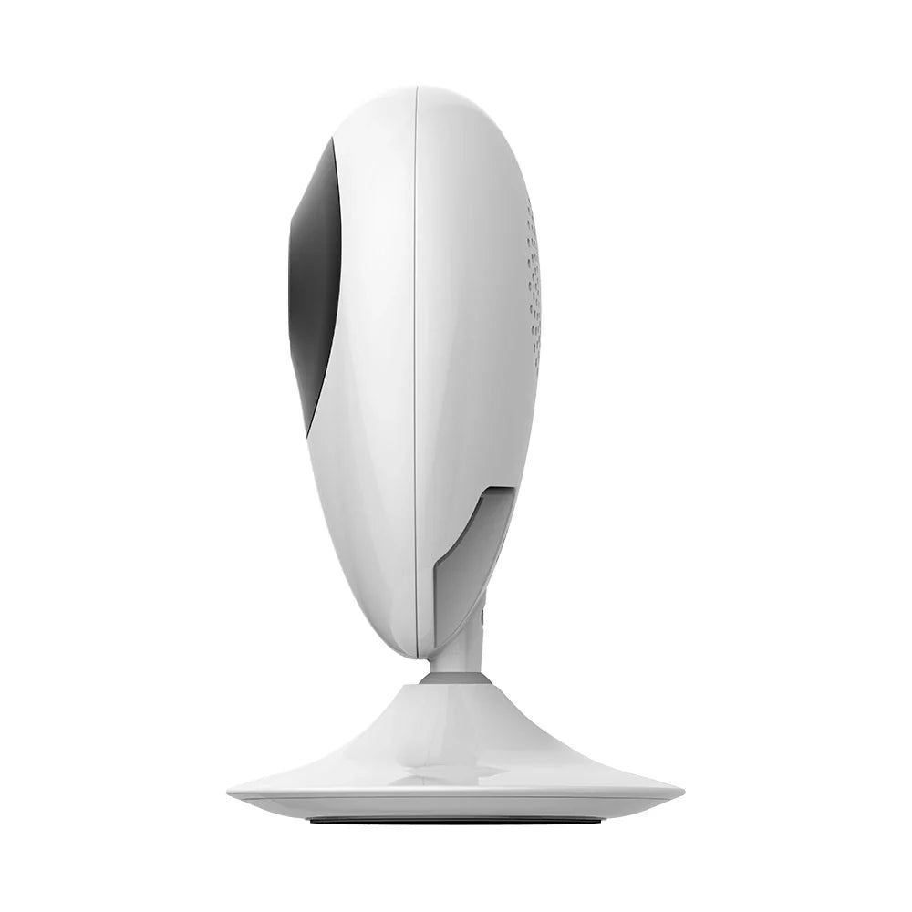 Câmera Segurança Ezviz C2c Visão Noturna Babá Eletrônica Pet